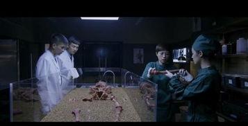 国产观看视频,精彩瞬间回顾